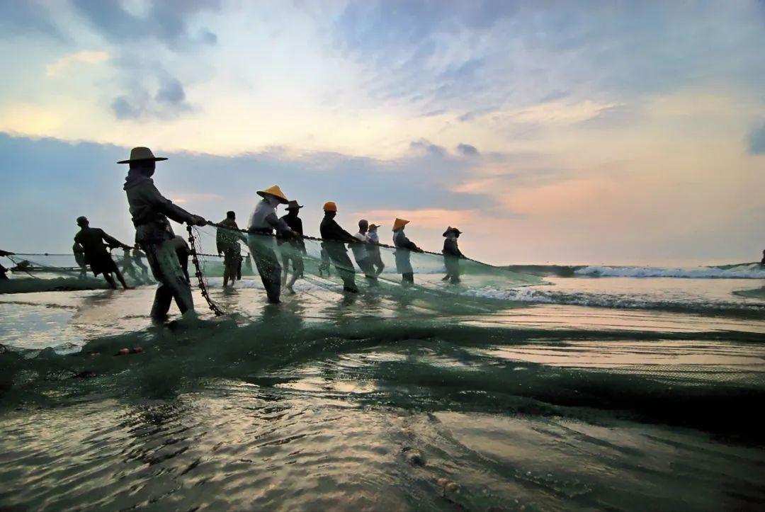 航海日启航：探索海洋非遗，领略文化魅力
